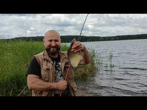 Видео: Озеро Селигер и озеро Волго 2023. Рыбалка, ягоды грибы