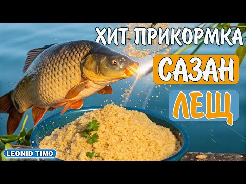 Видео: ЭТО РАБОТАЕТ! 🎣 ЛУЧШАЯ ПРИКОРМКА для КАРПА, ЛЕЩА и САЗАНА – УЛОВ ГАРАНТИРОВАН!