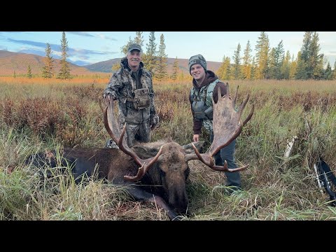 Видео: Отец и сын охотятся на лося на Аляске