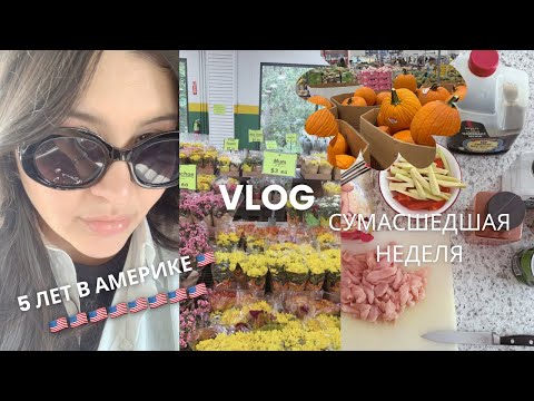 Видео: ВЛОГ #91: 5 ЛЕТ В США🇺🇸👏🏼 | TEMU СНОВА ПОДВЁЛ | ЧТО СКАЗАЛ ДОКТОР #жизньвамерике 