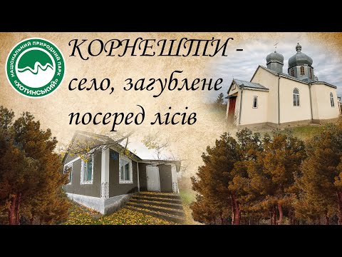 Видео: Корнешти - село, загублене посеред лісів