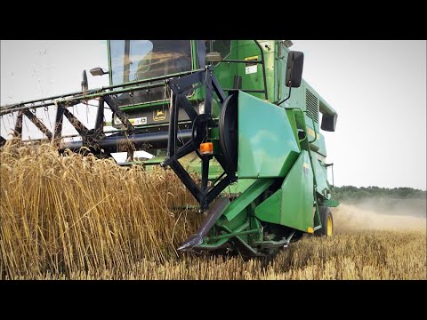 Видео: Молотим пшеницю John Deere 1055