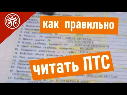 Видео: Как правильно читать ПТС Паспорт Транспортного Средства  (Советы от РДМ-Импорт)