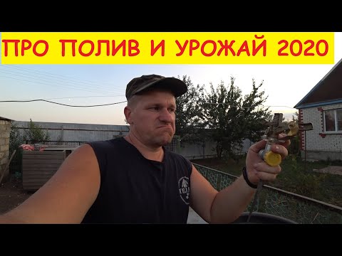 Видео: ПРО УРОЖАЙ И ПОЛИВ 2020