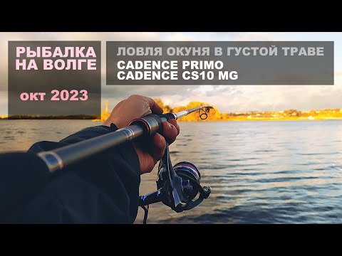 Видео: Рыбалка с комплектом  Сadence Primo и Cadence CS10 MG  Ловля окуня на спиннинг.