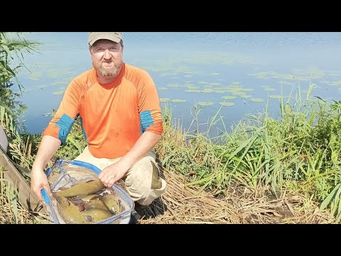 Видео: За линем на секретное озеро!