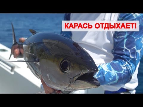 Видео: Морская РЫБАЛКА в Тихом океане.