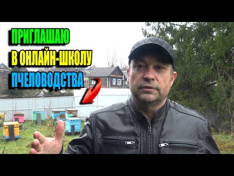 Видео: СТАНЬТЕ ЭКСПЕРТОМ ПО ПЧЕЛОВОДСТВУ ВСЕГО ЗА ДВА МЕСЯЦА!