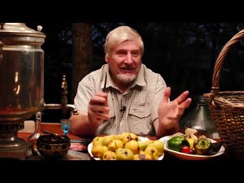 Видео: Надеюсь чиновники меня услышат