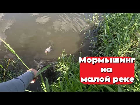 Видео: РЫБАЛКА НА МАЛОЙ РЕКЕ В СТИЛЕ МОРМЫШИНГ УДИВЛЯЕТ! Что же можно поймать?!