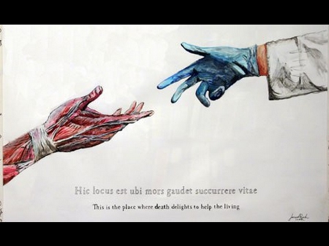 Видео: Как не отчаиваться, если завалил экзамен? (мед. универ)