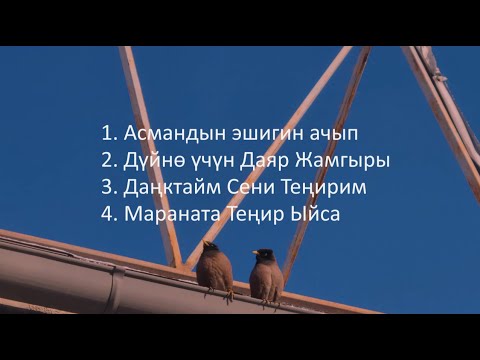 Видео: Кудайды Даңктайбыз (1.11.2025)
