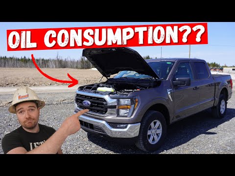 Видео: Двигатель Ford F150 5L COYOTE V8 | 5 главных проблем **Отзывы механиков**