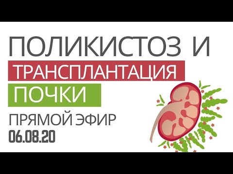 Видео: Марина, город Анапа. Поликистоз почек и трансплантация - январь 2020 г.