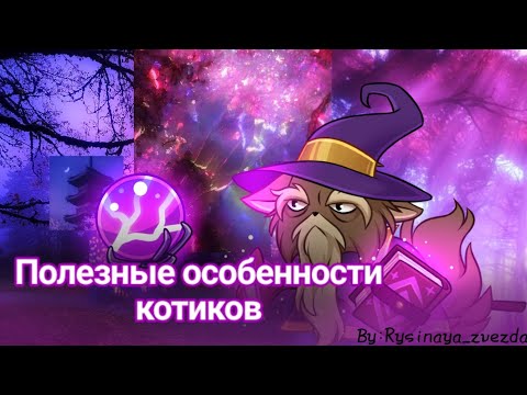 Видео: Полезные особенности котиков!🔮|Castle cats|by:𝚁𝚢𝚜𝚒𝚗𝚊𝚢𝚊_𝚣𝚟𝚎𝚣𝚍𝚊