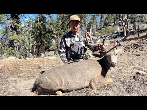 Видео: Охота на оленей-мулов в горах Калифорнии — Big Buck Down