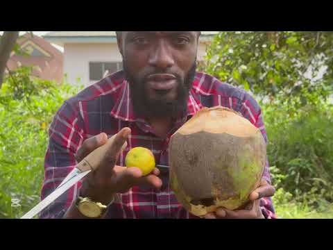 Видео: Сочетание кокоса и лайма: хорошо или плохо?