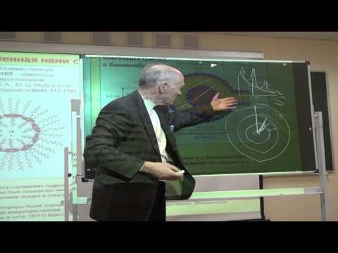 Видео: 189 Апоптоз