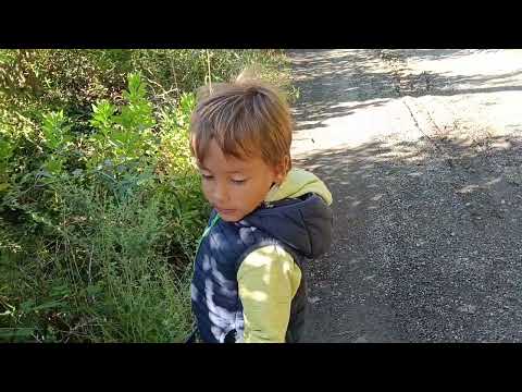 Видео: 6,10, 25года Всем добрый день 🥰🇺🇦🇮🇹