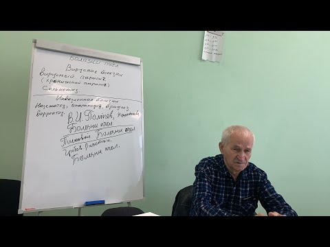 Видео: Болезни пчёл. Вирусный паралич. Сальмонеллез. Кашковский В. Г.