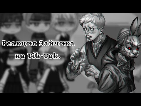 Видео: Реакция Tiny Bunny на Tik-Tok 8/? |Зайчик|
