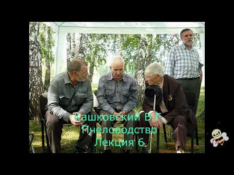 Видео: Кашковский В.Г. лекция по пчеловодству № 6