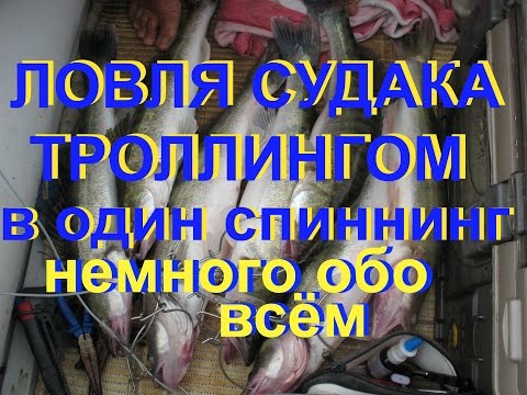 Видео: Ловля судака, советы бывалых. Ловля троллингом. Ловля на дорожку. Река Ахтуба,  как поймать судака.