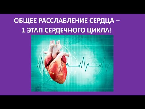 Видео: 33. Общее расслабление сердца  — 1 этап сердечного цикла!