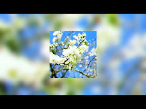 Видео: Чумачечая Весна (SpeedUp)