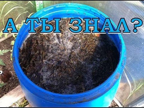 Видео: ТРАВЯНОЙ НАСТОЙ - лучшее удобрение ПОШАГОВО!