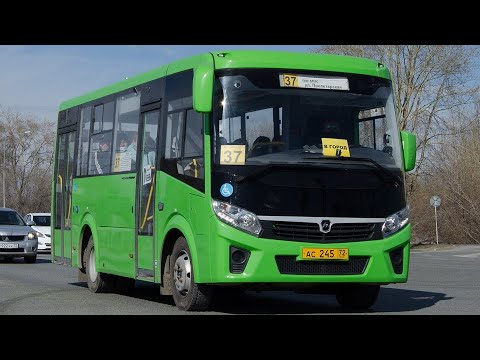 Видео: ПАЗ-320435-04 "Vector Next" || АС 245 72 || 37д маршрут || г. Тюмень