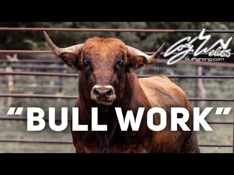 Видео: «Работа с быками» — Behind The Chutes #184
