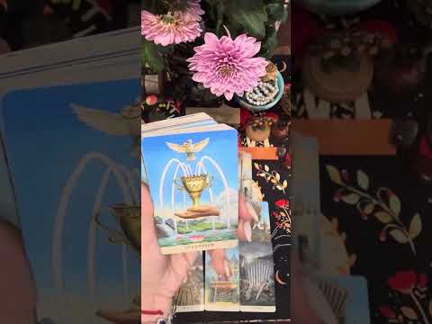 Видео: Чего же он боится больше всего ??😇