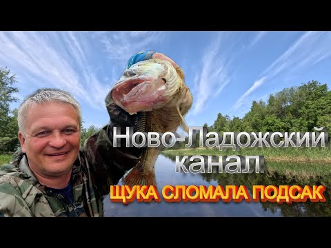 Видео: Многодневная рыбалка в Ново-Ладожском канале. Лигово-Сумское-Дубно