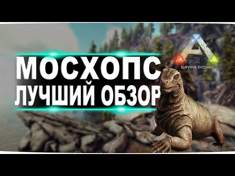 Видео: Мосхопс (Moschops) в АРК. Лучший обзор: приручение, разведение и способности  мосхопса в ark.