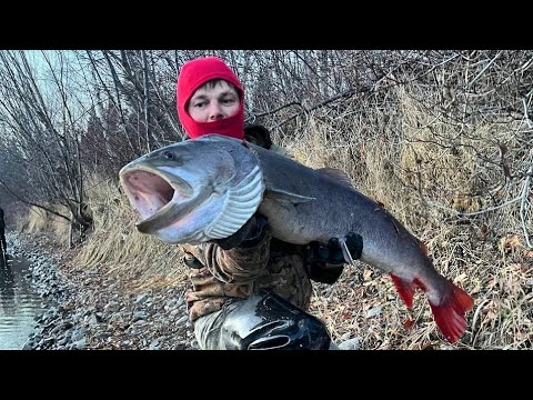 Видео: Дикий ручей,  в глухой тайге. 🙈 1 часть