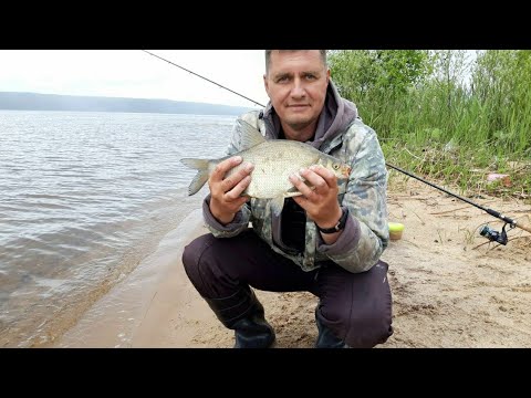 Видео: МЕЛАССА | КАК ЗАМЕШАТЬ ПРИКОРМКУ НА ЛЕЩА, ЧТОБЫ КЛЕВАЛО