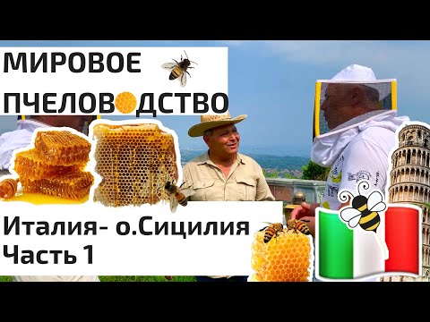 Видео: МИРОВОЕ ПЧЕЛОВОДСТВО. Италия - о. СИЦИЛИЯ