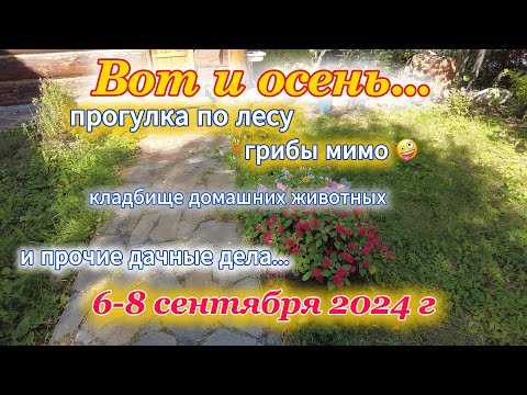 Видео: Дачный влог на озере Увильды 6-8 сентября 2024 г