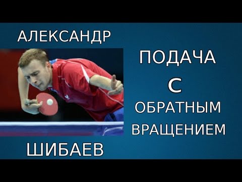 Видео: Шибаев подача с обратным вращением(техника подачи)