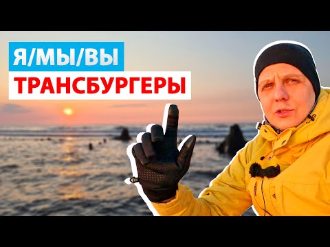 Видео: ТРАНСБУРГЕРЫ - новое явление и поколение людей. Кто это?