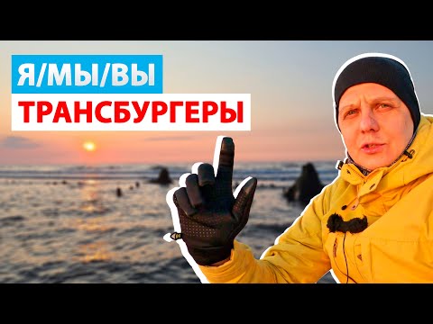 Видео: Сенсация! ТРАНСБУРГЕРЫ - новое явление и поколение людей. Кто это?