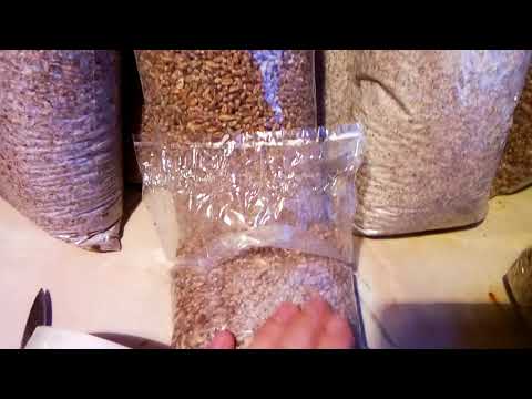 Видео: Как клееть фильтры на пакет для мицелия