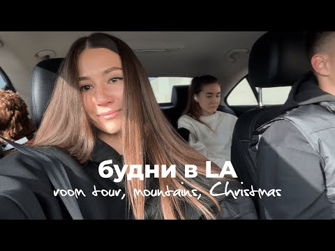 Видео: Vlog | Будни эмигрантов в Лос Анджелесе. Квартира в Голливуде, горы и Рождество.