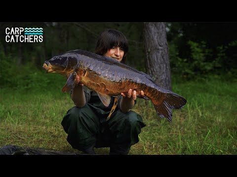 Видео: Чорний короп - Рибалка на коропа у корчах на лісному озері