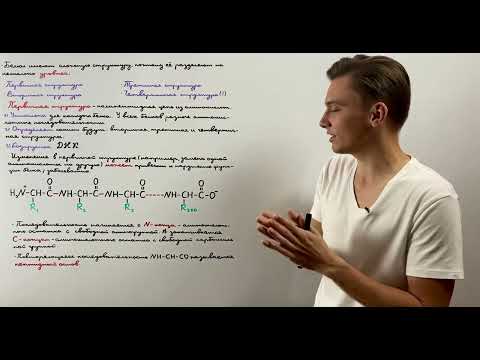 Видео: Первичная структура белка