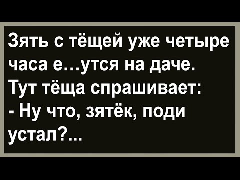 Видео: Про зятя с тёщей на даче... Сборник анекдотов! Юмор! Позитив!