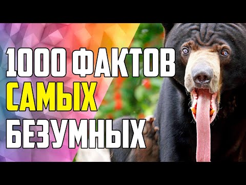 Видео: 1000 САМЫХ БЕЗУМНЫХ ФАКТОВ, КОТОРЫЕ ТОЛЬКО МОЖНО НАЙТИ