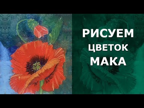Видео: 🌺 Как нарисовать цветок мака маслом. Мак с бутоном