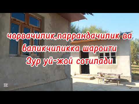 Видео: ☎️+998900538542 Тошкент вилоятида Уй сотилади.